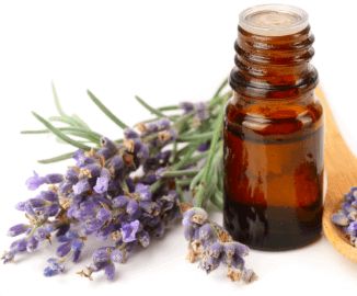 Our Holistic Wellness Approach